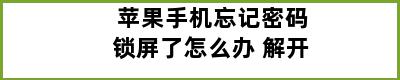 苹果手机忘记密码锁屏了怎么办 解开